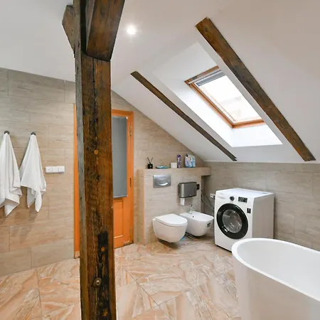 Amazing Charles Bridge Apartament
