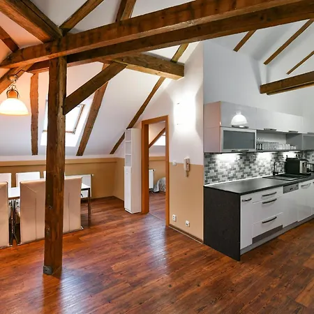 Amazing Charles Bridge Apartament *